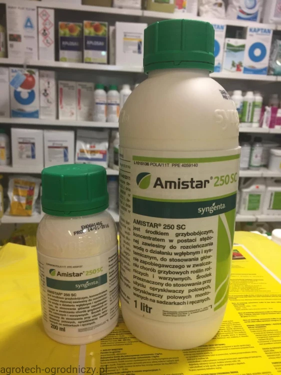 amistar.jpg