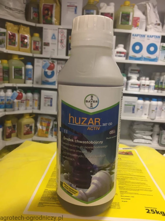 huzar.jpg