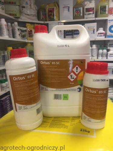 ortus.jpg