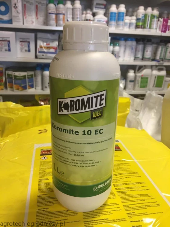 KOROMITE.jpg
