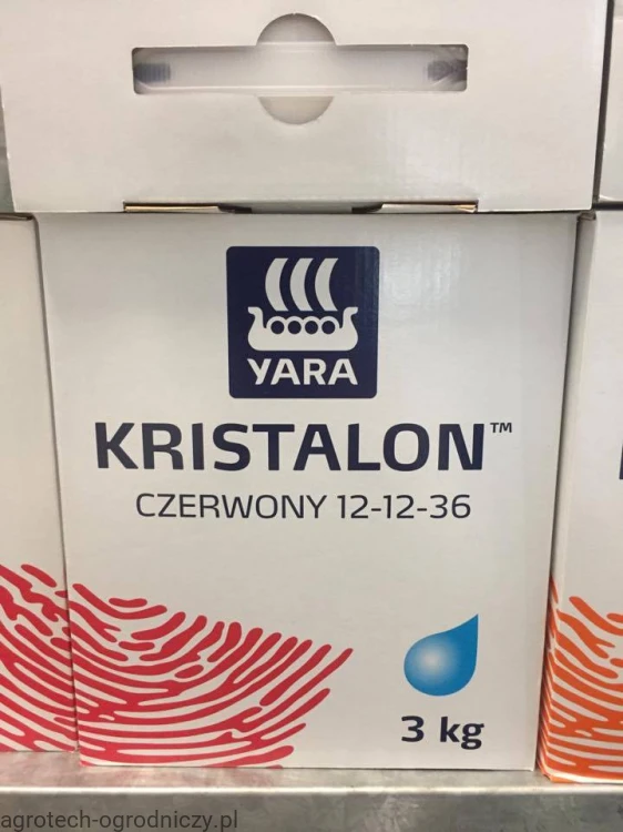 KCZ3.jpg