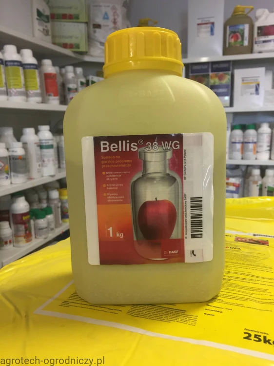 bellis 1kg.jpg