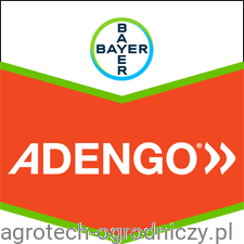 Adengo.png