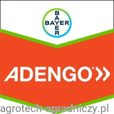 Adengo.png