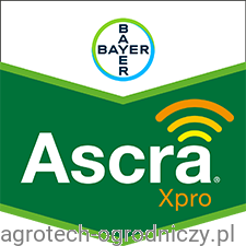 Ascra Xpro.png