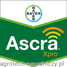 Ascra Xpro.png