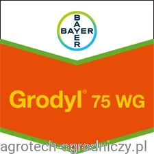 Grodyl.png