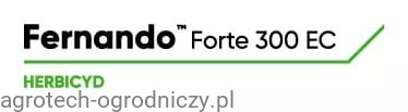 LG_FERNANDO_FORTE.jpg