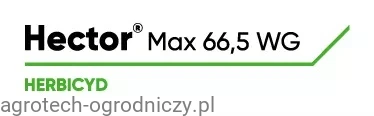 LG_HECTOR_MAX.jpg
