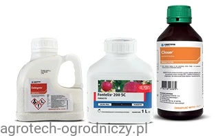 corteva.jpg