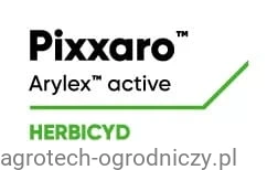 LG_PIXXARO.jpg