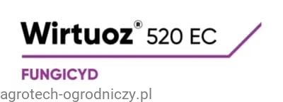 LG_WIRTUOZ.jpg