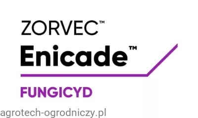 LG_Zorvec_Enicade.jpg