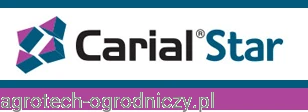 carial star.png