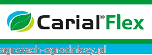 carial flex.png