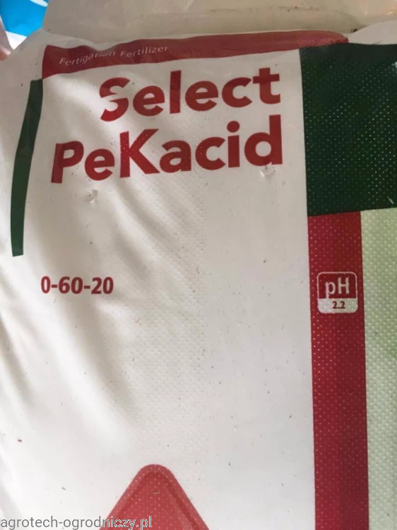 PEKACID.jpg