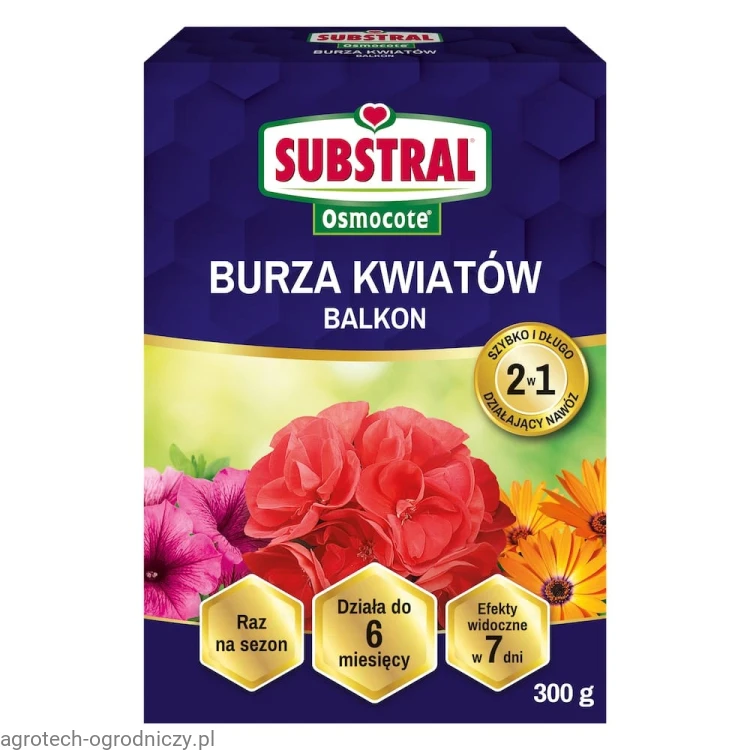 burza.jpg
