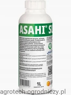asahi.webp