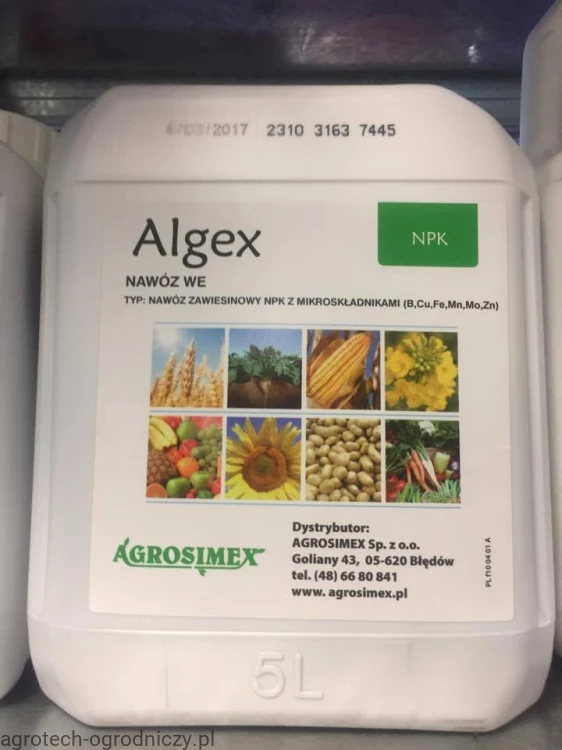 AL.jpg