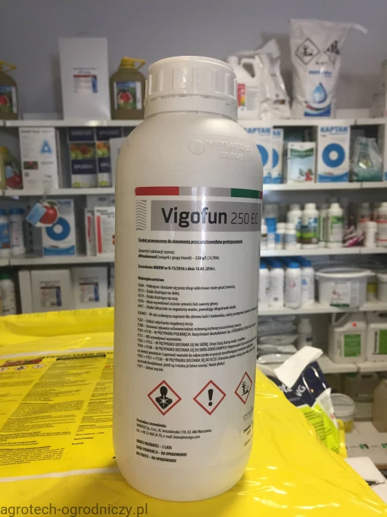 vigofun.jpg