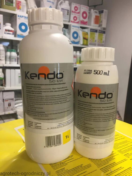 kendo.jpg