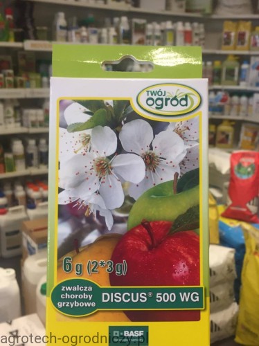 discus 6g.jpg