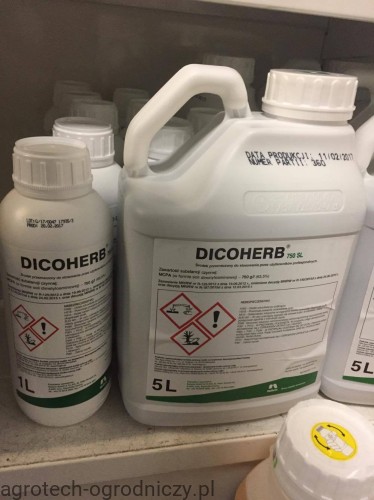 dichoherb.jpg