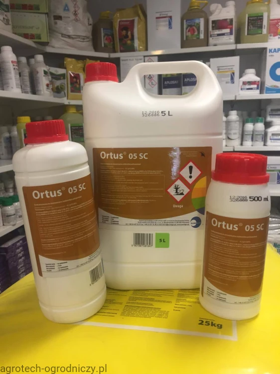ortus.jpg