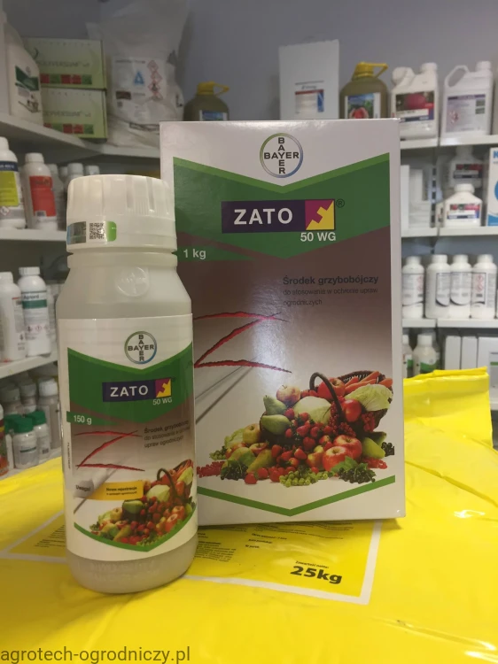 zato.jpg