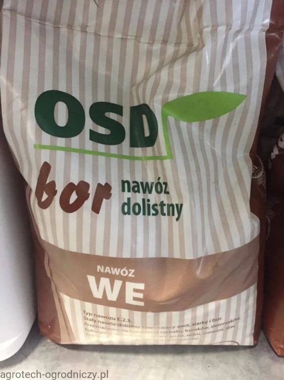 BOR.jpg