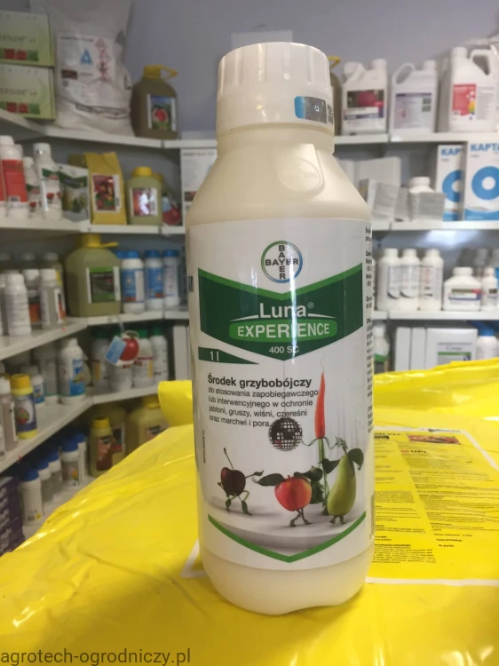 luna experience.jpg